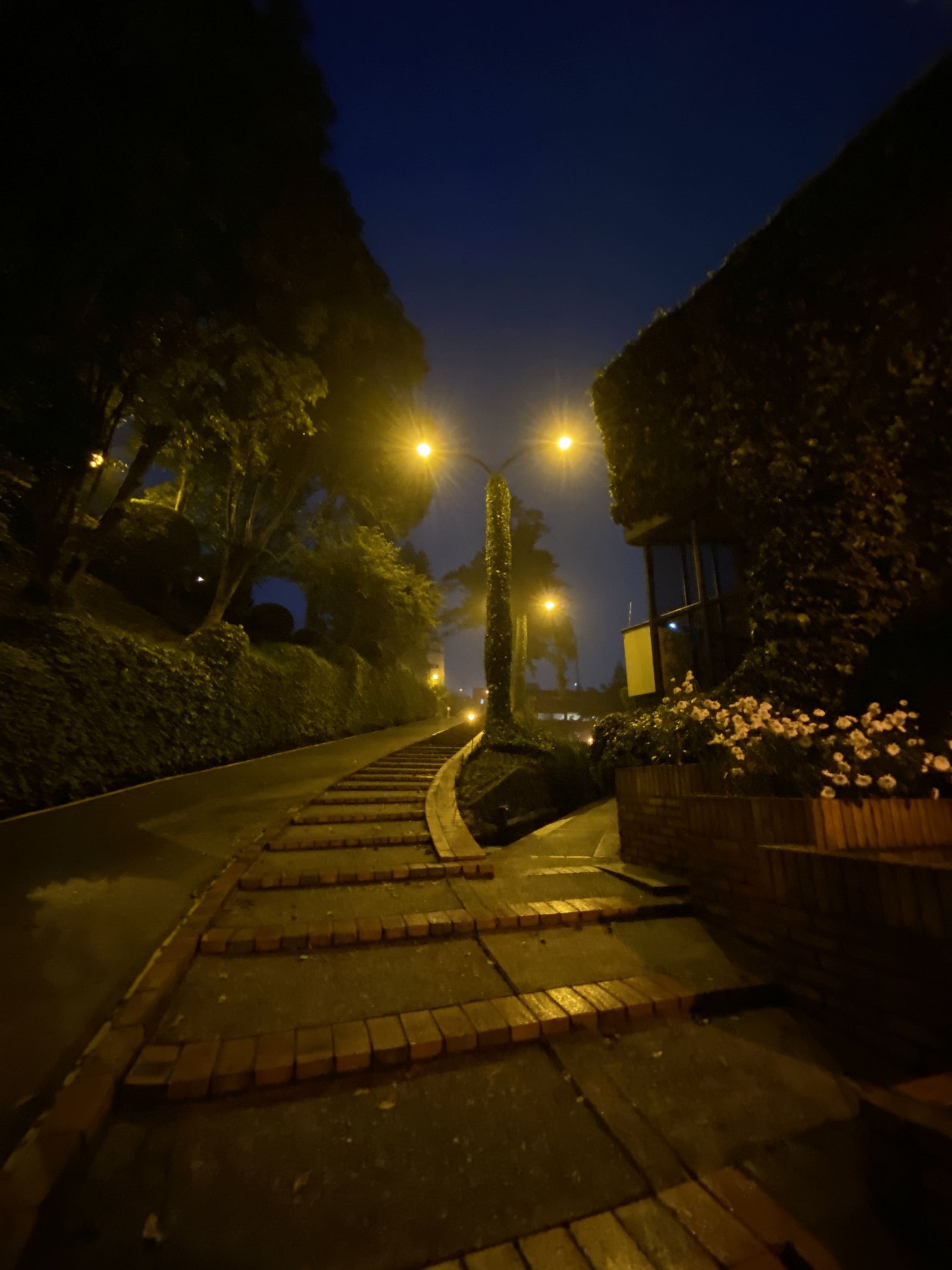 Parque