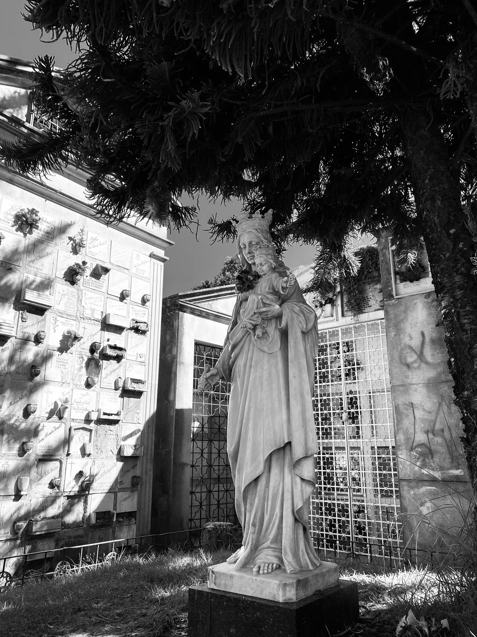 Virgen