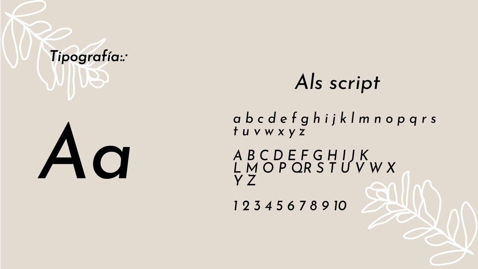 Manual de Marca - Packaging & Envases